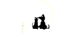 Bicho de Rua